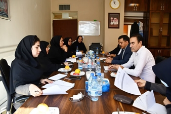 برگزاری کارگروه آسیب های اجتماعی با محوریت پیشگیری از خودکشی در معاونت بهداشت